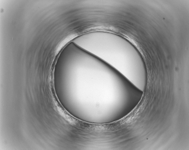 X0000088201042200705151021