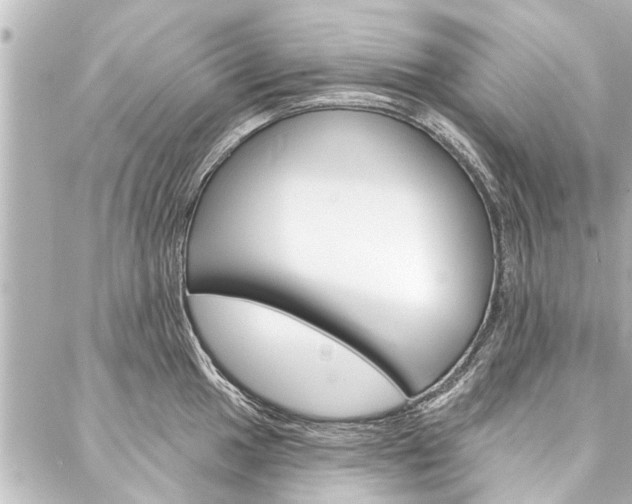 X0000088201049200705151021