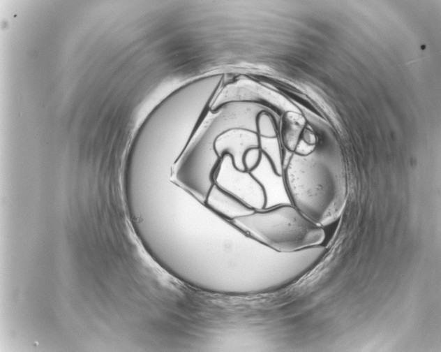 X0000088201054200705151021