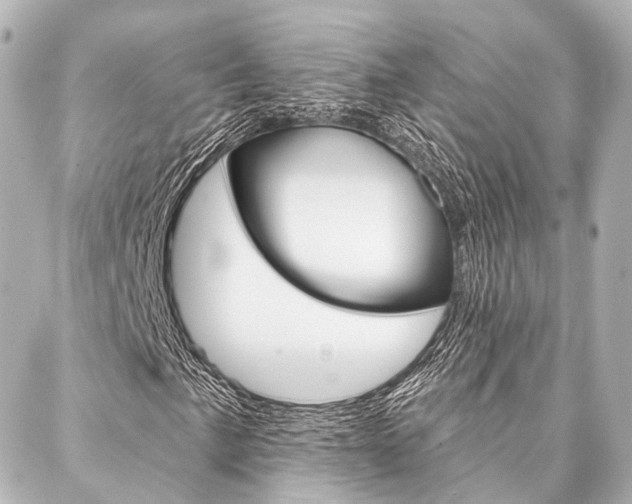 X0000088201057200705151020