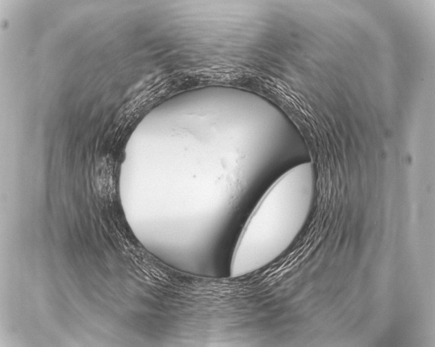 X0000088201058200705151020