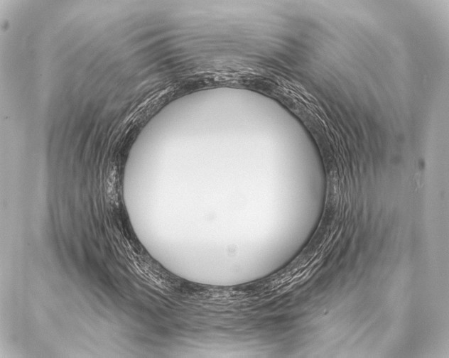 X0000088201060200705151020
