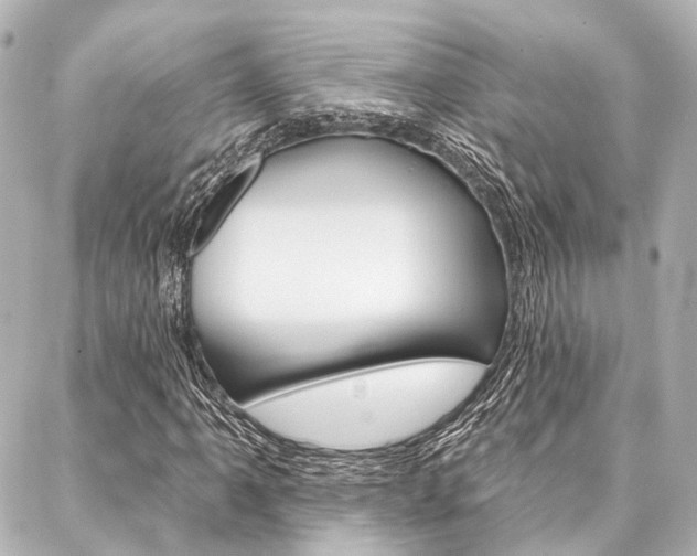X0000088201061200705151020