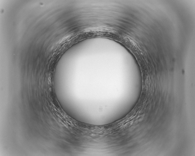 X0000088201062200705151020