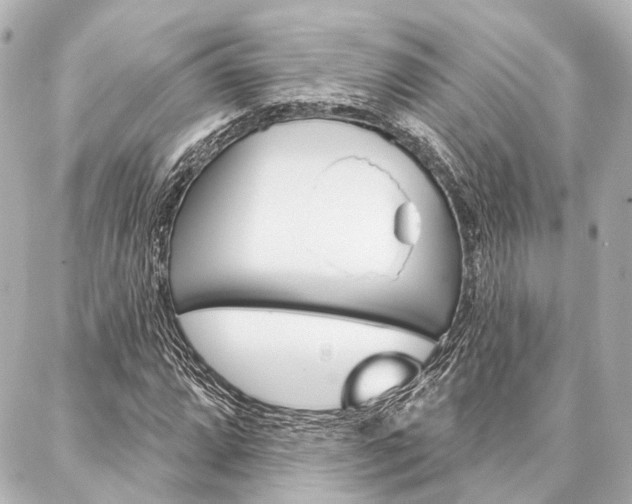 X0000088201064200705151020