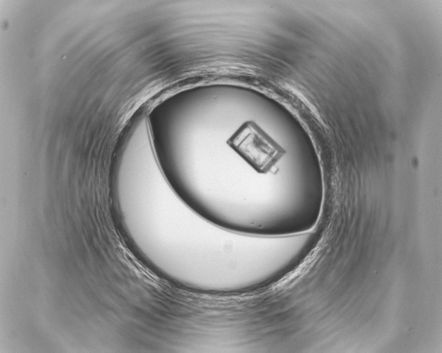 X0000088201065200705151020