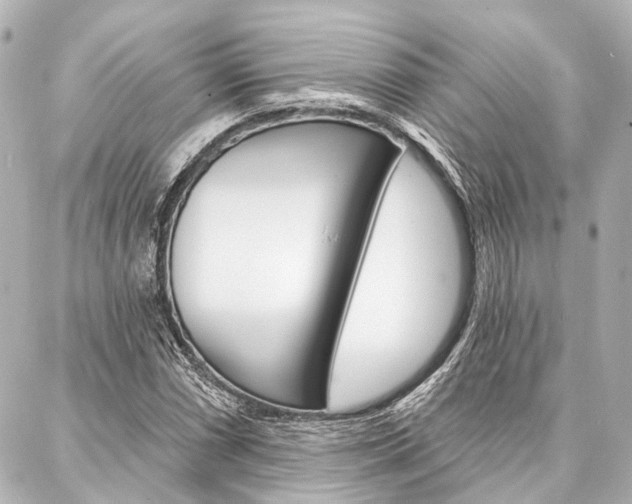 X0000088201066200705151020