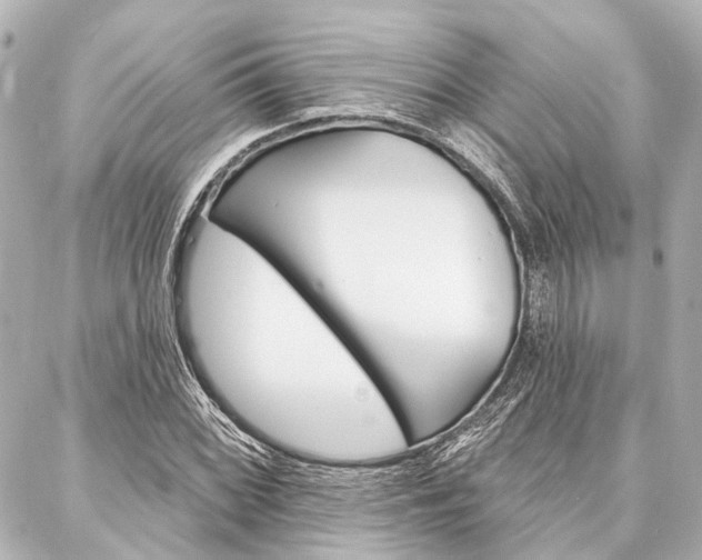 X0000088201068200705151020