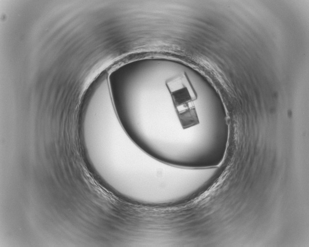 X0000088201069200705151020