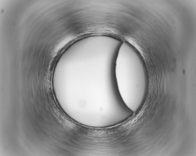 X0000088201071200705151020