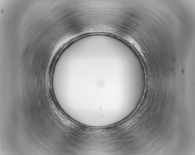 X0000088201072200705151020