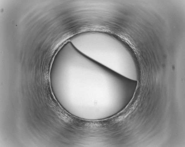 X0000088201073200705151020