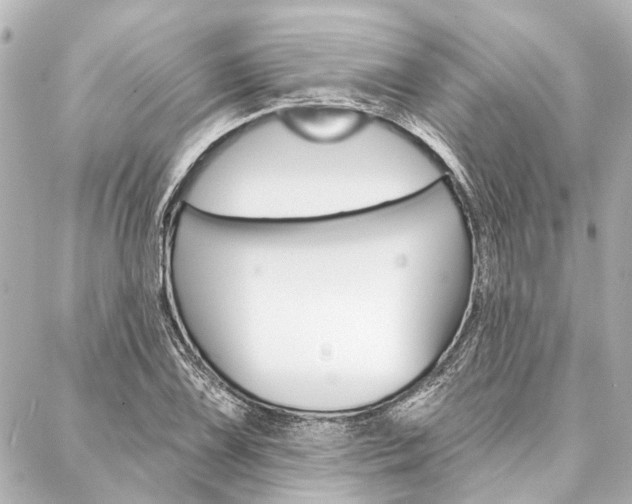 X0000088201075200705151020