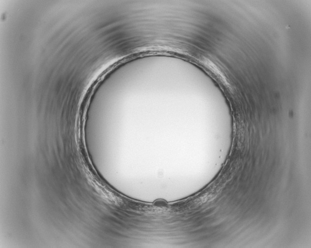 X0000088201076200705151020