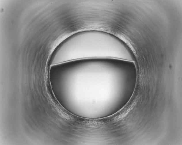 X0000088201077200705151020