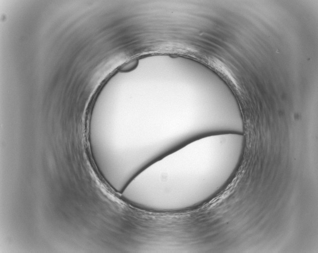 X0000088201087200705151020