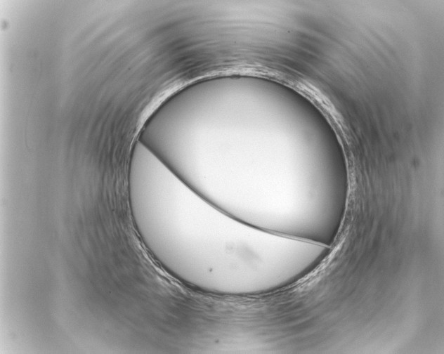 X0000088201097200705151019