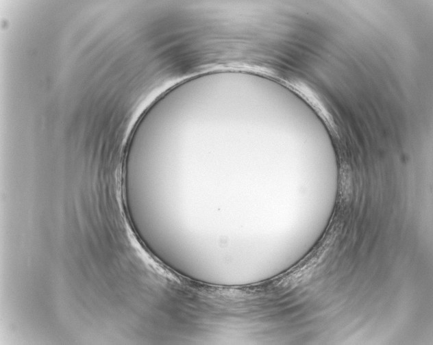 X0000088201100200705151019