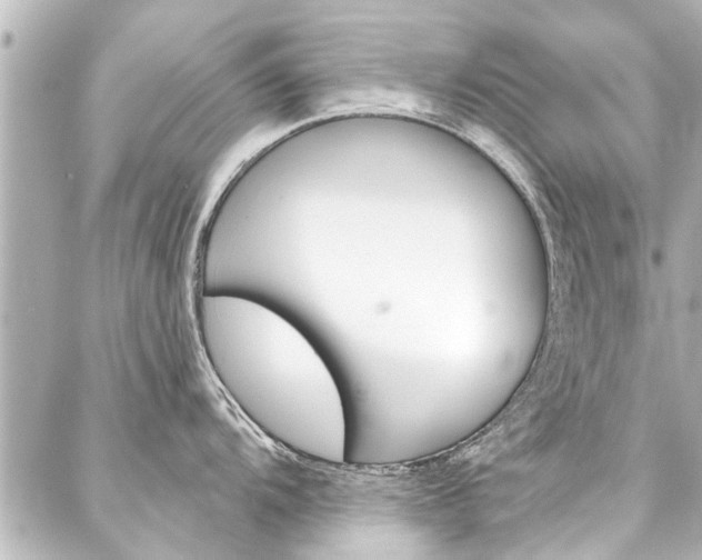 X0000088201104200705151019