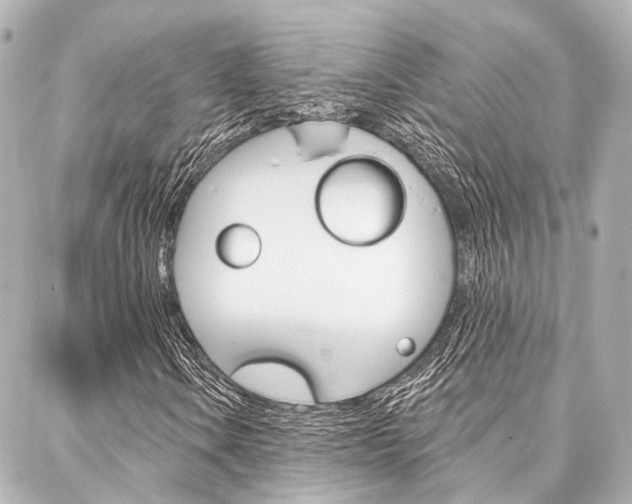 X0000088201106200705151019
