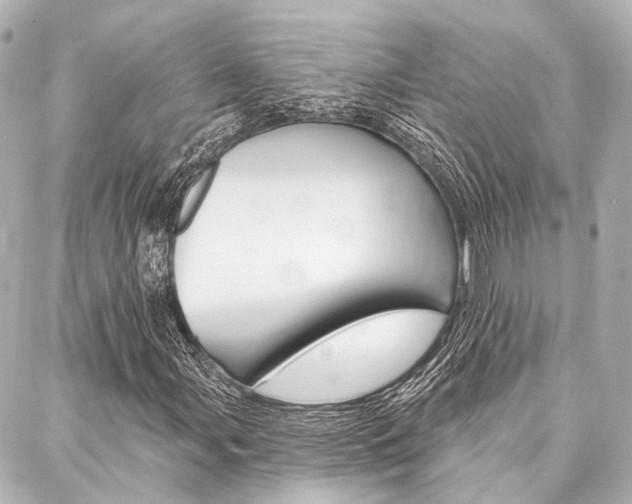 X0000088201107200705151019