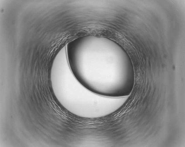 X0000088201108200705151019