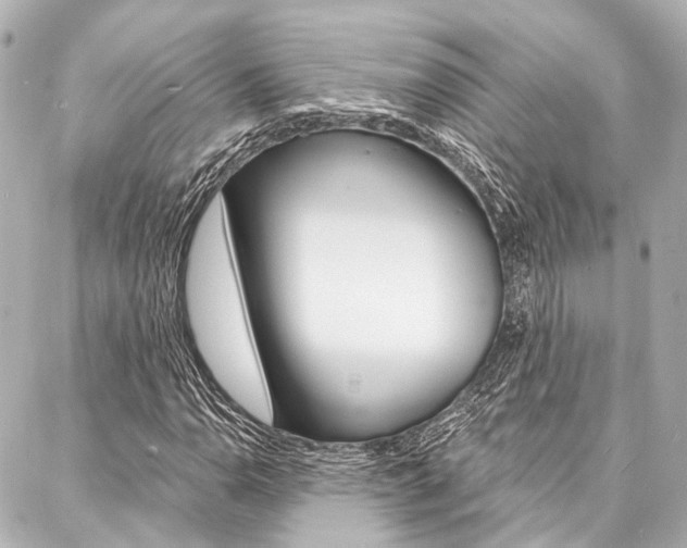 X0000088201110200705151019