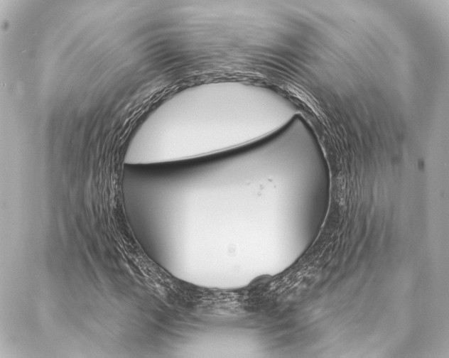 X0000088201111200705151019