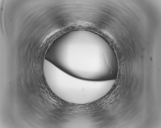 X0000088201112200705151019