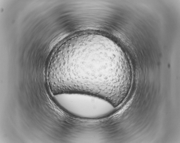 X0000088201113200705151019