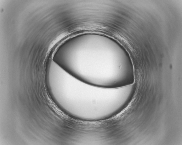 X0000088201114200705151019