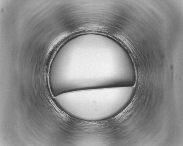 X0000088201115200705151019