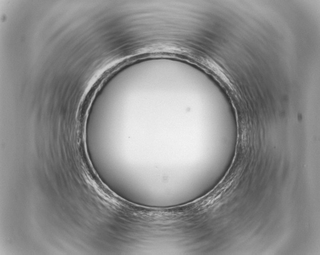 X0000088201116200705151019