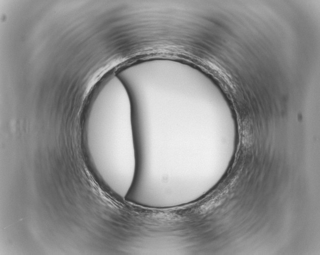X0000088201117200705151019