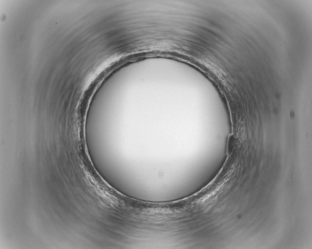 X0000088201118200705151019