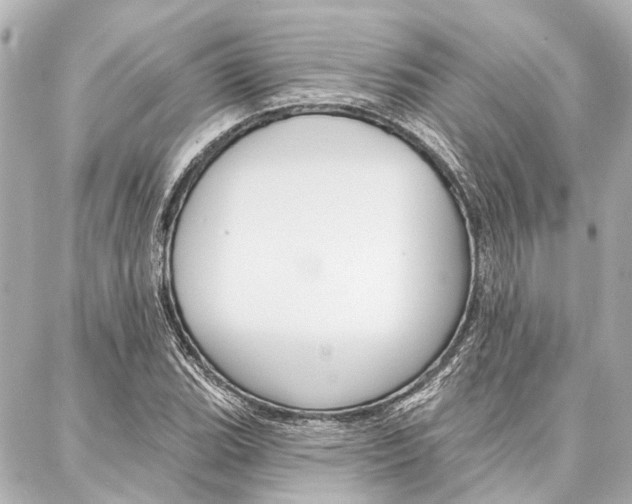 X0000088201119200705151019