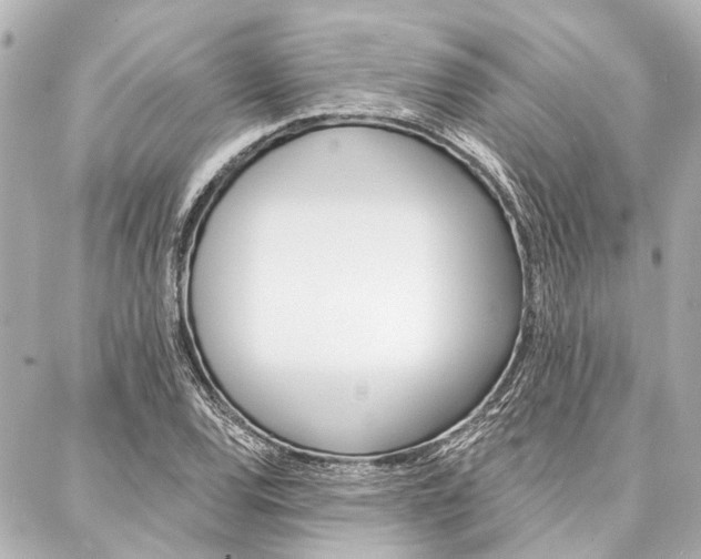 X0000088201120200705151019