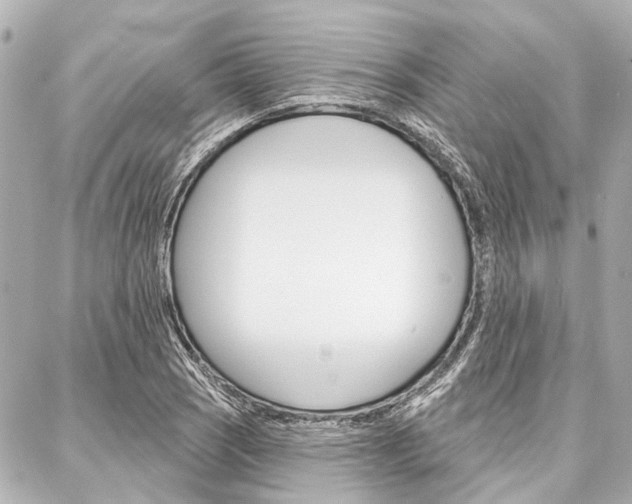 X0000088201121200705151019
