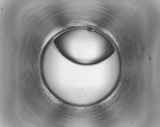 X0000088201122200705151019