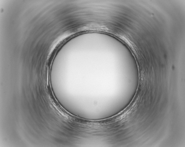 X0000088201123200705151019