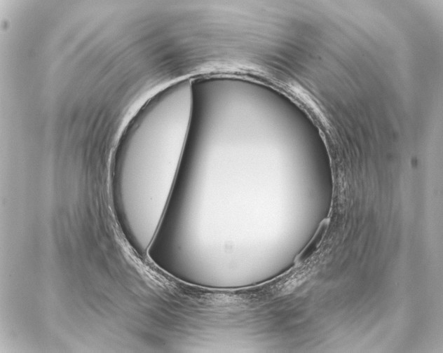 X0000088201124200705151019