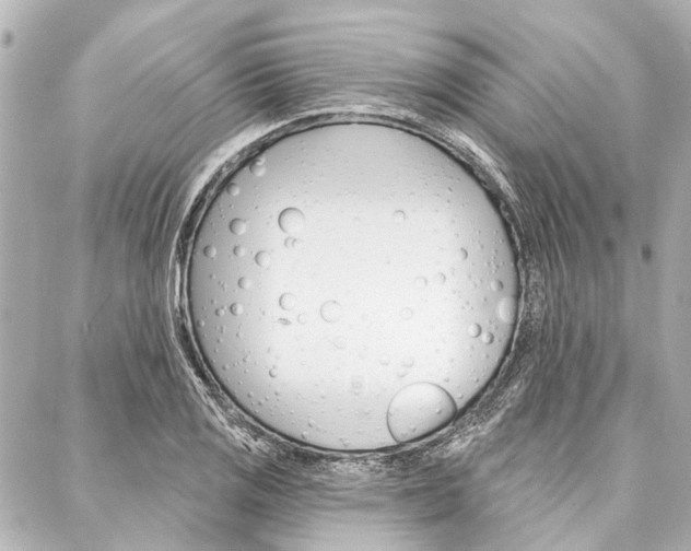 X0000088201125200705151019