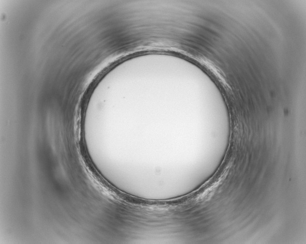 X0000088201126200705151019