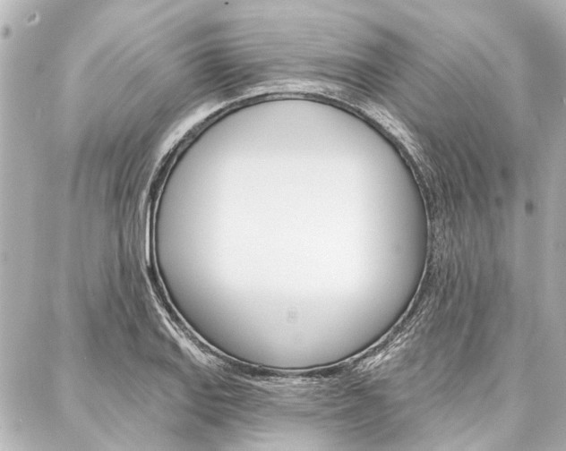 X0000088201127200705151019
