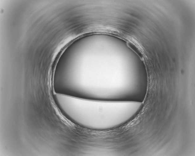 X0000088201128200705151019
