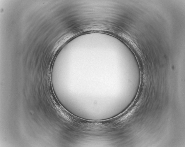 X0000088201129200705151019