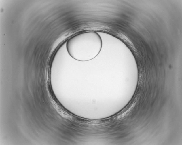 X0000088201130200705151019