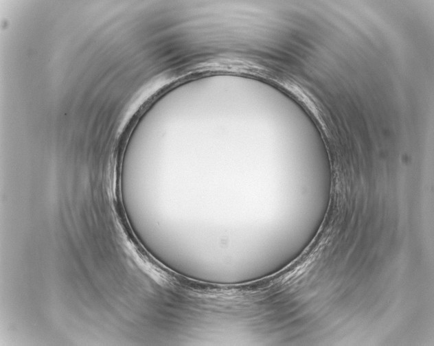 X0000088201131200705151019