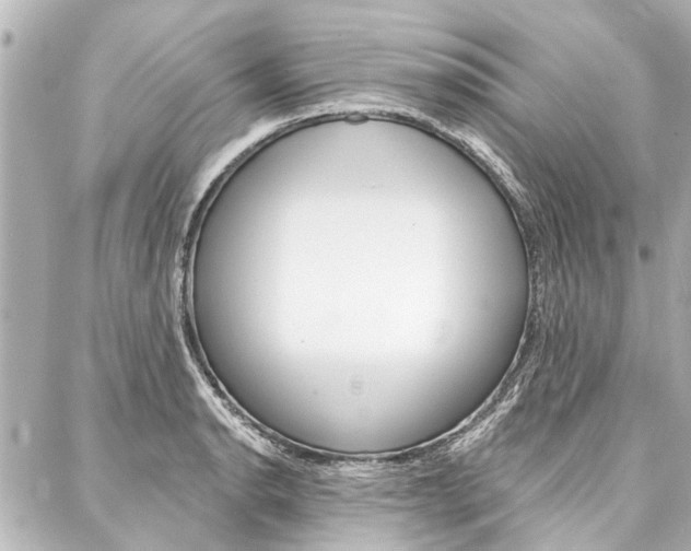 X0000088201134200705151019