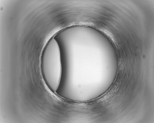 X0000088201135200705151019